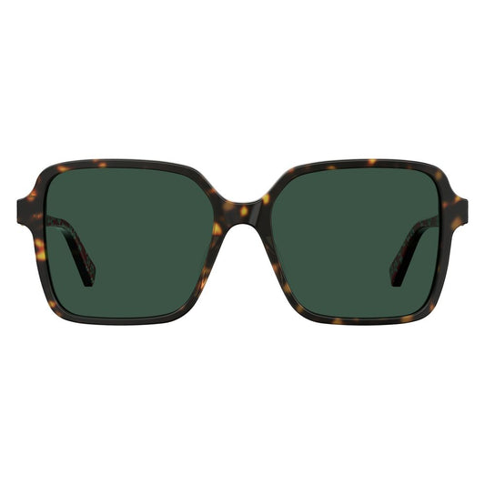 Love Moschino Brown Acetate Sunglasses