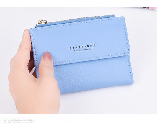 Billetera magnetica segura