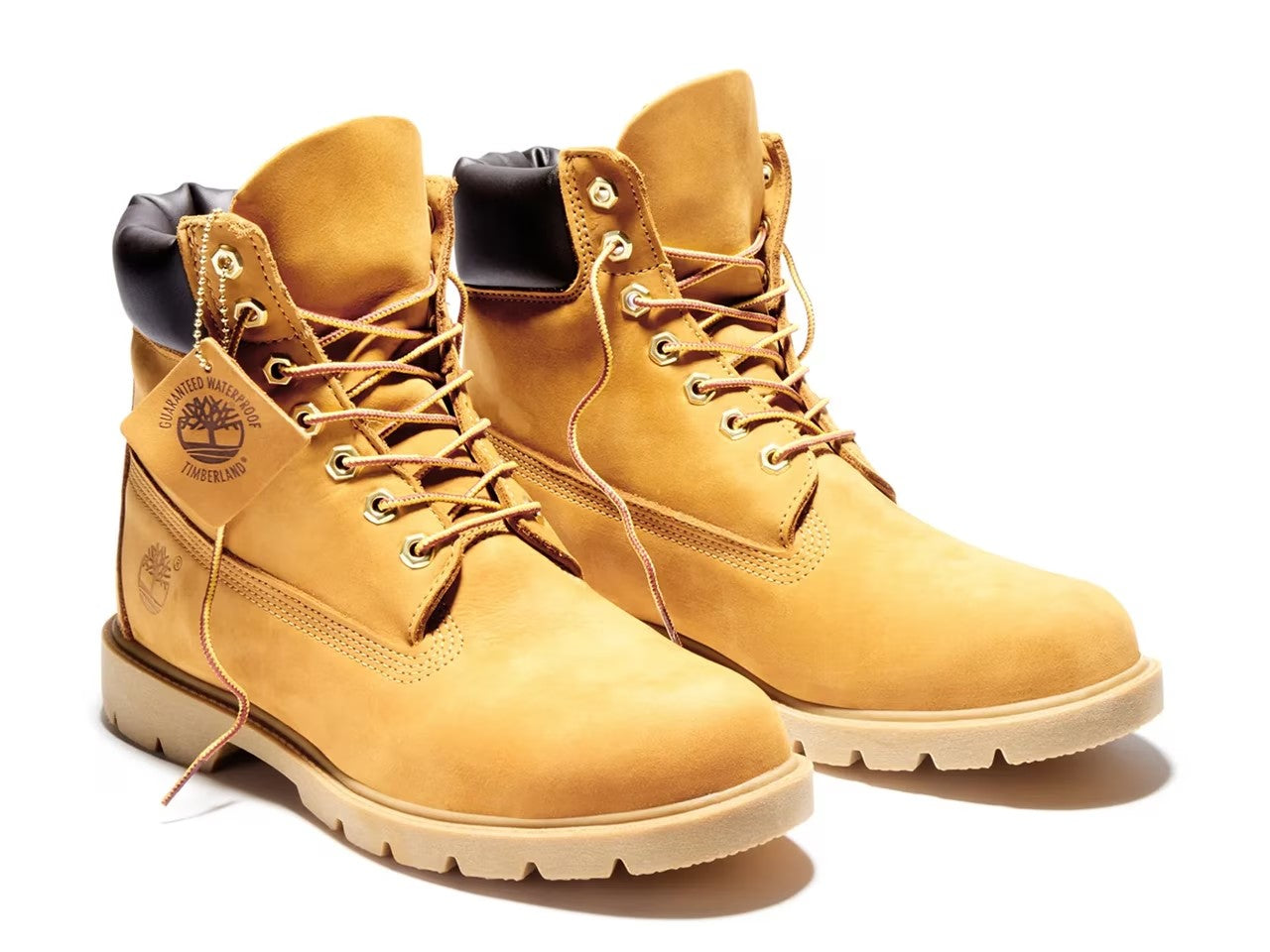 Timberland Timb 6 Padded Collar Waterproof Boot - Men's