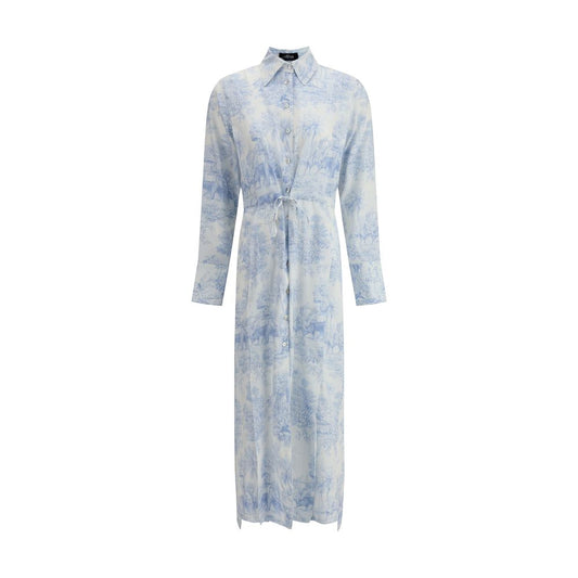 Ella Toile de jouy chemisier Dress