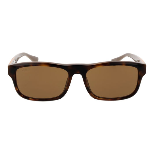 Web Brown Men Sunglass