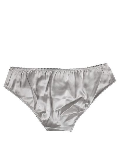 Dolce & Gabbana Gray Silk Stretch Bottom Low Waist Panty Underwear